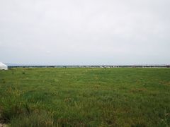 -敕勒川草原