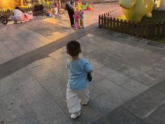 -南翔镇银翔湖公园