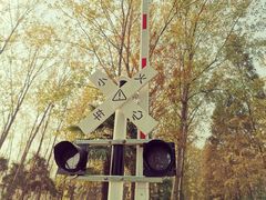 -合肥滨湖国家森林公园