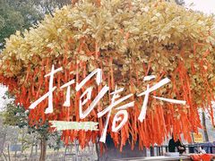 -狼山风景名胜区