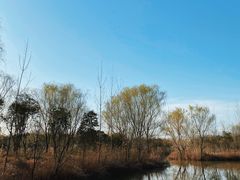 -西安浐灞国家湿地公园