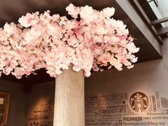 -星巴克(西湖天地店)