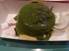 -狐狸和向日葵(北京路店)
