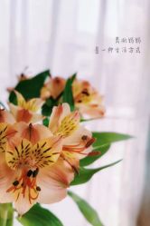 点击看大图 -美丽妈妈产后恢复中心(南桥旗舰店)