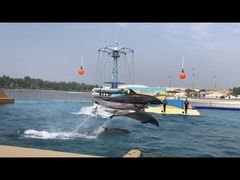 -秦皇岛乐岛海洋王国