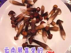 黑鸡枞菌-千岛蚝高压锅生蚝·人参火锅(白云万达店)