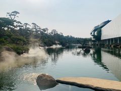 -罗红摄影艺术馆