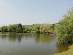 -石塘人家