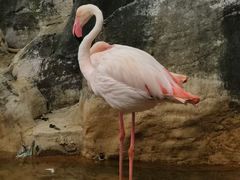 -昆明动物园