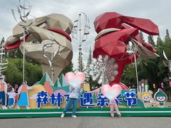 -黄海国家森林公园