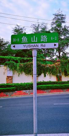 大学路-"学路和鱼山路交口的这面围墙,真的是地标啦."-大众点评移动版