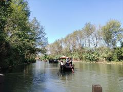 -溱湖国家湿地公园