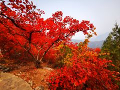 -周口店坡峰岭风景区