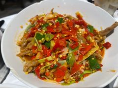 鸭掌筋-壹盏灯(蚂蚁工房店)