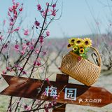 西安新晋赏花地——长安唐村