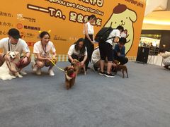 -杭州滨江宝龙城