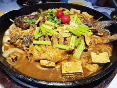 -老板恋上鱼(高新万达店)