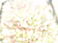 -悦椿温泉酒店·悦椿苑火锅餐厅