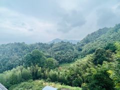 -江西阳明山国家森林公园