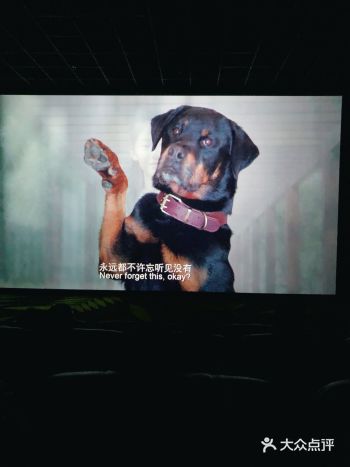 因为家里养宠物的原因，所以特别喜爱小动物