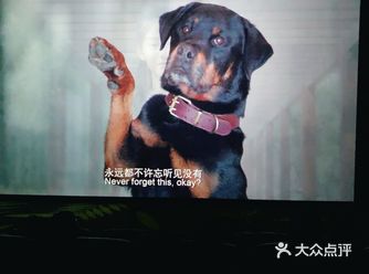 因为家里养宠物的原因，所以特别喜爱小动物