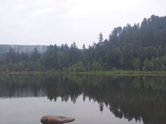 -五营红松林海景区