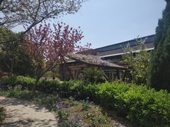 -金桥现代产业园区-停车场