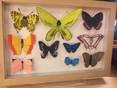 -猫的天空之城概念书店(杭州南宋御街店)