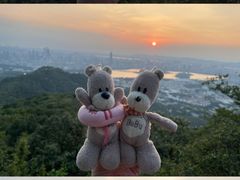 -紫金山山顶公园