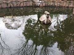 -定园