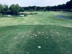 -旭宝高尔夫俱乐部