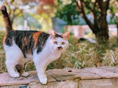 -苏州河梦清园环保主题公园