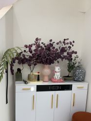 -WENDY·温迪皮肤管理