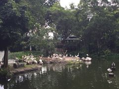 iphone_upload_pic-新加坡飞禽公园