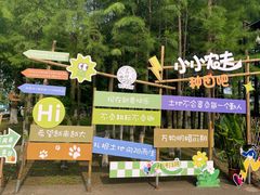 -乌村