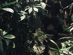 -中家鑫园温泉酒店鑫悦汤泉