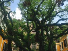 -ALBERGUE 1601 婆仔屋葡国餐厅