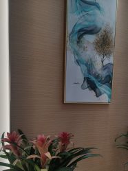 -雅曼妮spa美容养生