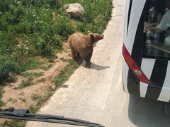 -西安秦岭野生动物园