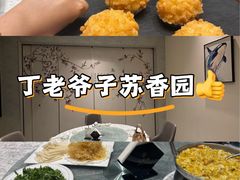 -丁老爷子苏香圆