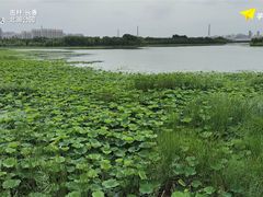 -长春北湖公园