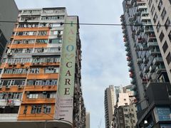 -Big Bus Tours 敞篷观光巴士