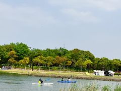 -春花秋色城市公园