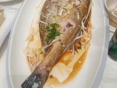 -东夷海鲜巨无霸(东夷小镇店)