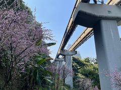 -米氏火鱼·泡椒鱼火锅(李子坝老店)
