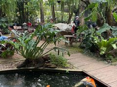 -Fern Forest Cafe
