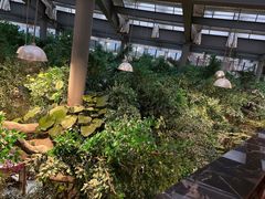 -滕头生态酒店(奉化店)