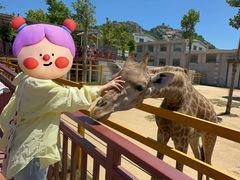 -西霞口神雕山野生动物世界