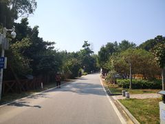 -广州市流溪河国家森林公园
