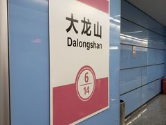 -大龙山(地铁站)